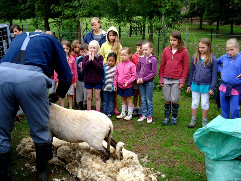 Boerderijkamp 2019